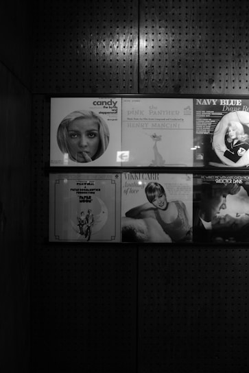 A collection of vintage vinyl records is displayed in a dark, perforated wooden shelf. The record covers feature classic artists and iconic album art, including images of performers and stylized graphics.
