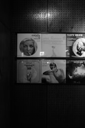 A collection of vintage vinyl records is displayed in a dark, perforated wooden shelf. The record covers feature classic artists and iconic album art, including images of performers and stylized graphics.