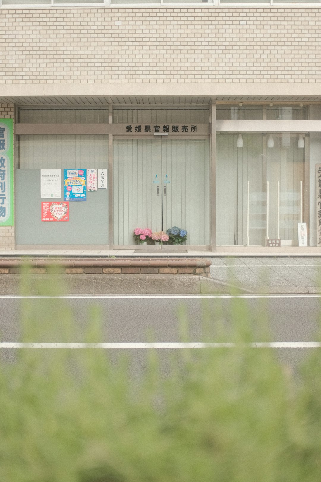 2 person sitting on bench