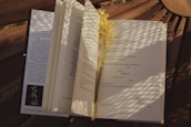 Close-up of an open devotional book with a delicate flower resting on the page, sunlight casting gentle shadows.