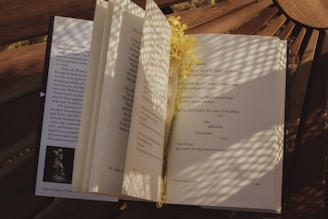 Open book resting on a wooden table with soft natural light.