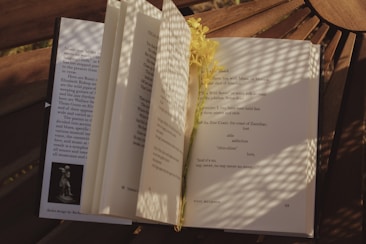 An open book rests on a wooden table, partially illuminated by soft, filtered sunlight. A delicate yellow flower is placed across the pages, adding a touch of nature to the literary scene.