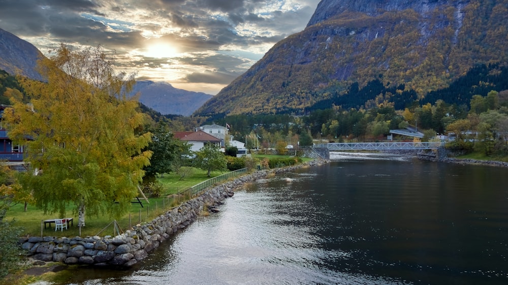 green trees near body of water during daytime