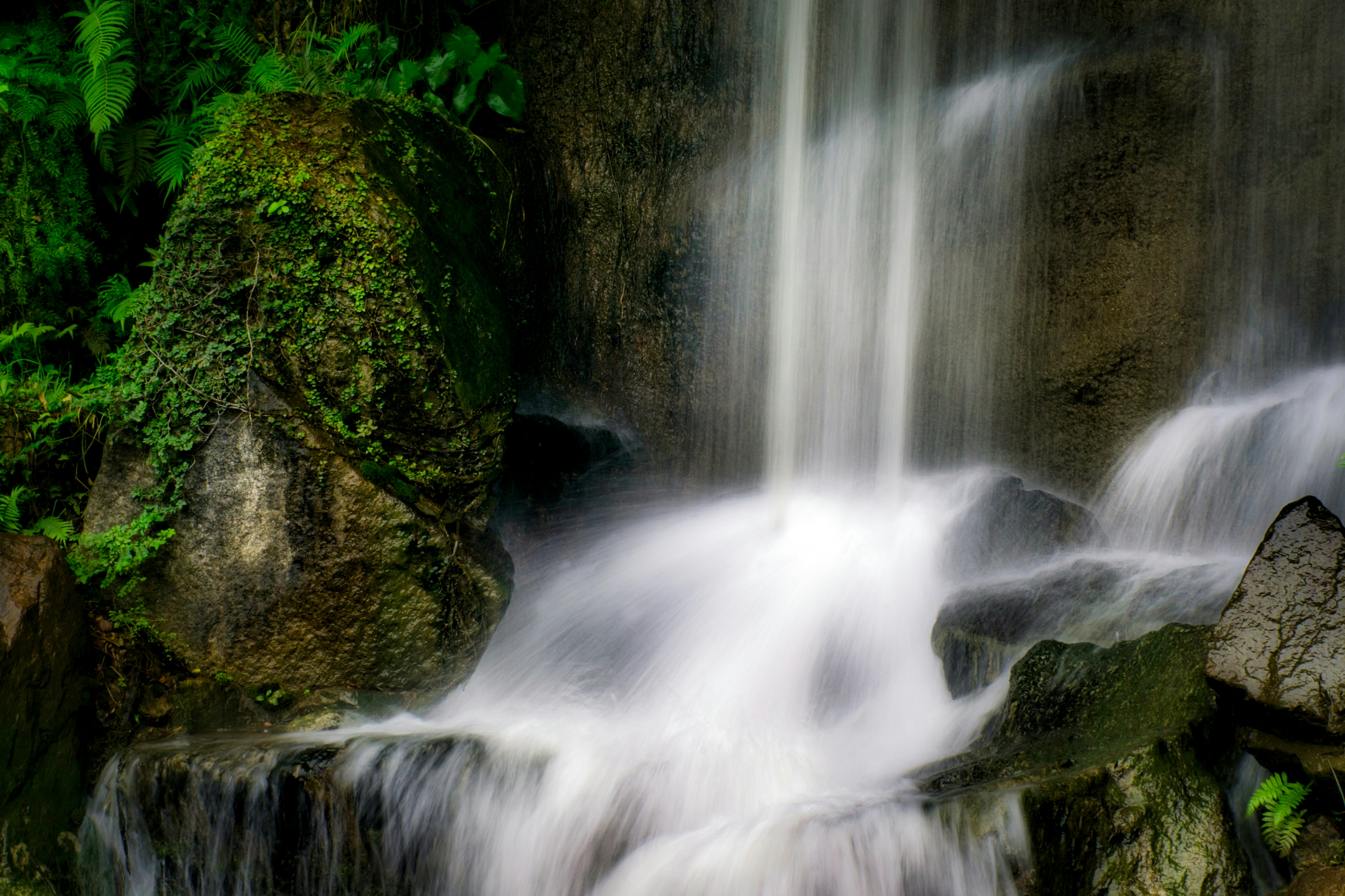 Photo by thomaskinto