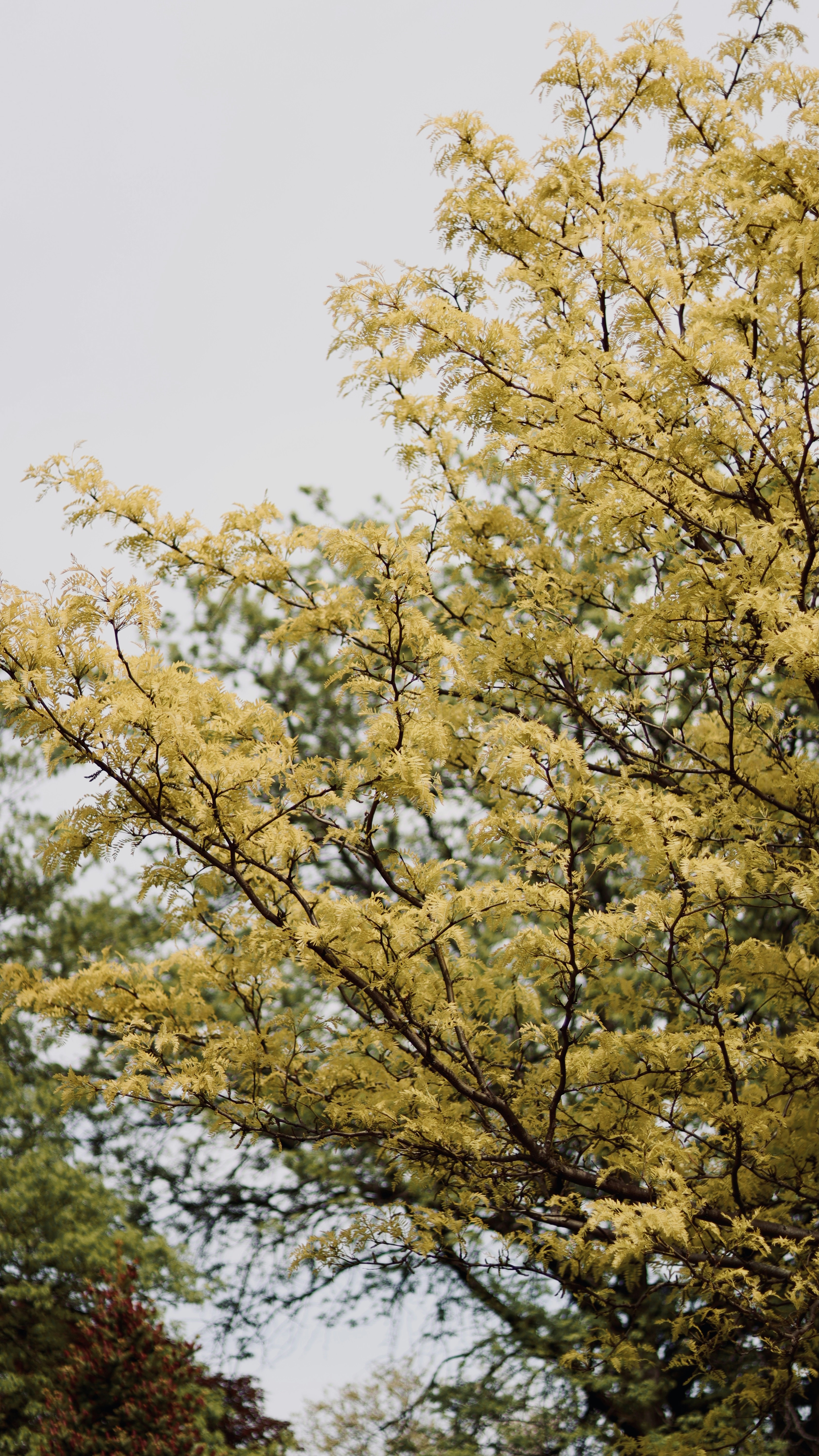 Photo by sangam_sharma