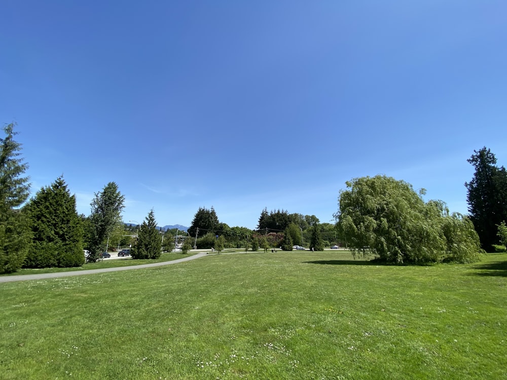 campo de grama verde com árvores sob o céu azul durante o dia