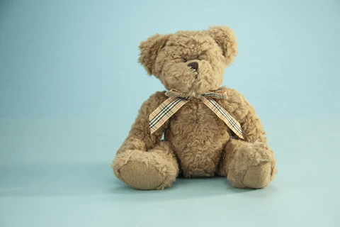 Vintage Teddy Bear