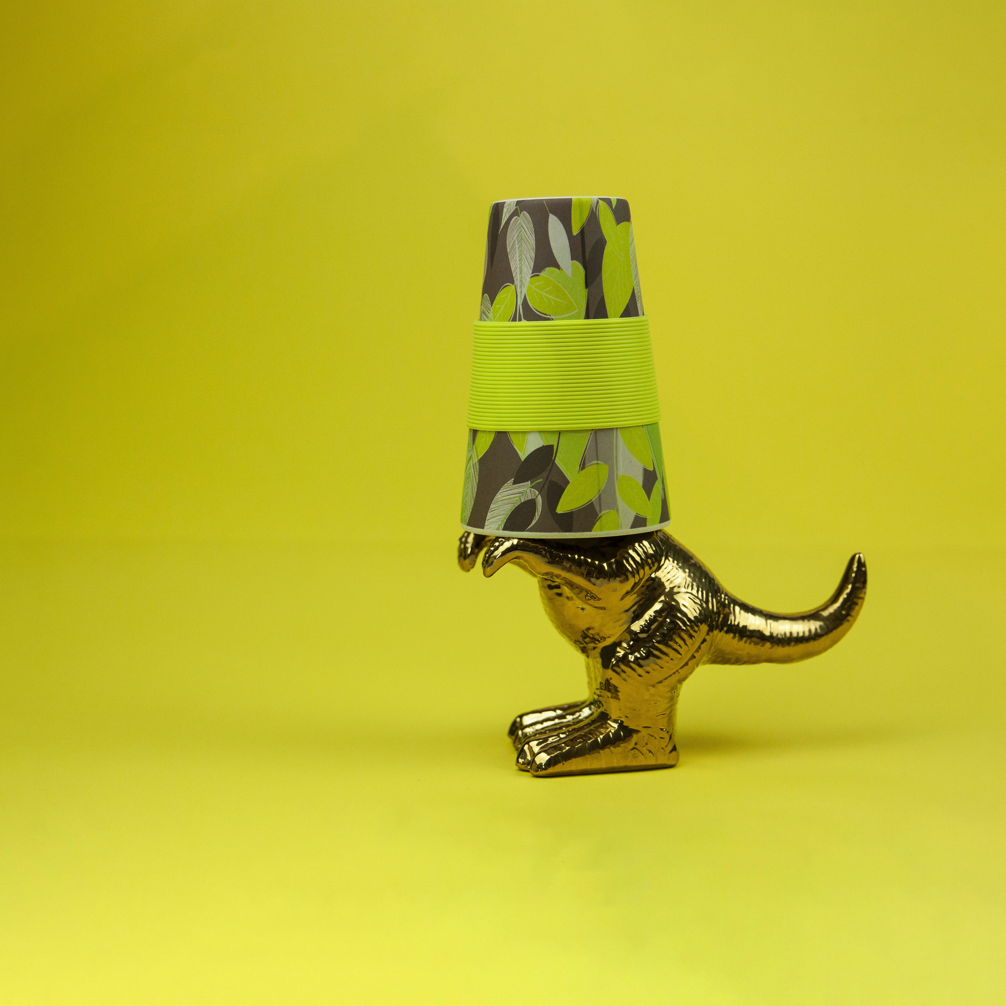 Photo by laarkstudio