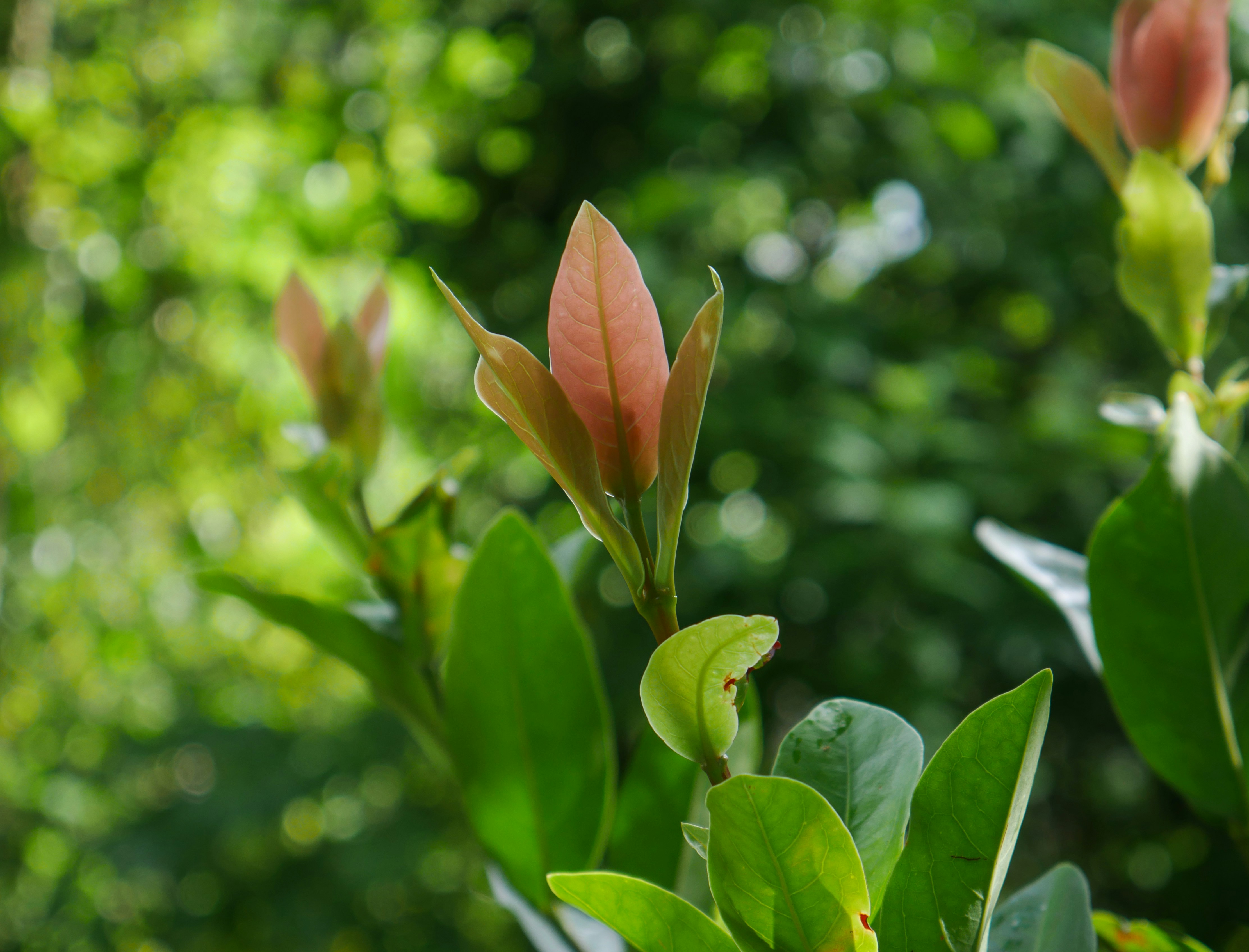 Photo by dark_matter_09