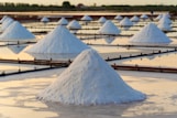 white sand on beach during daytime