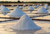 white sand on beach during daytime