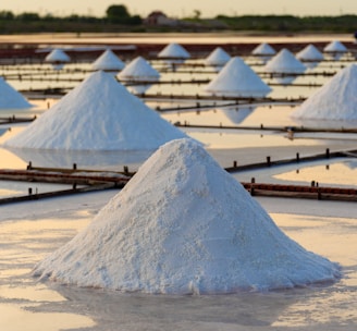 white sand on beach during daytime