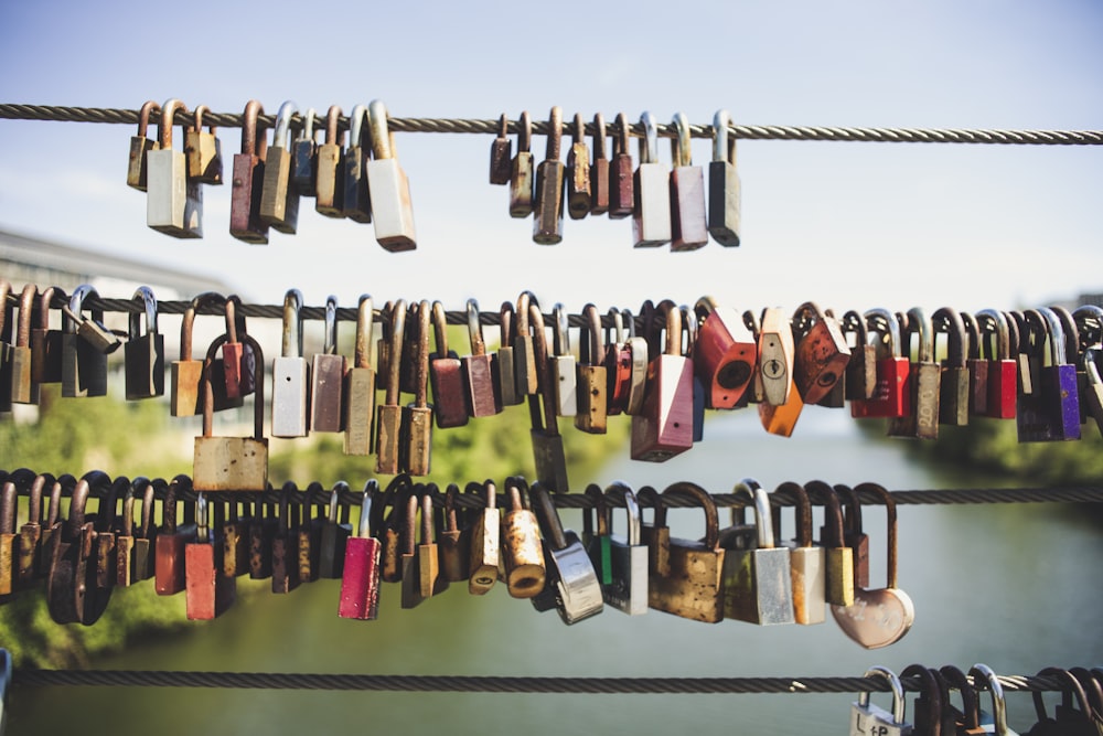 padlocks on gray steel fence