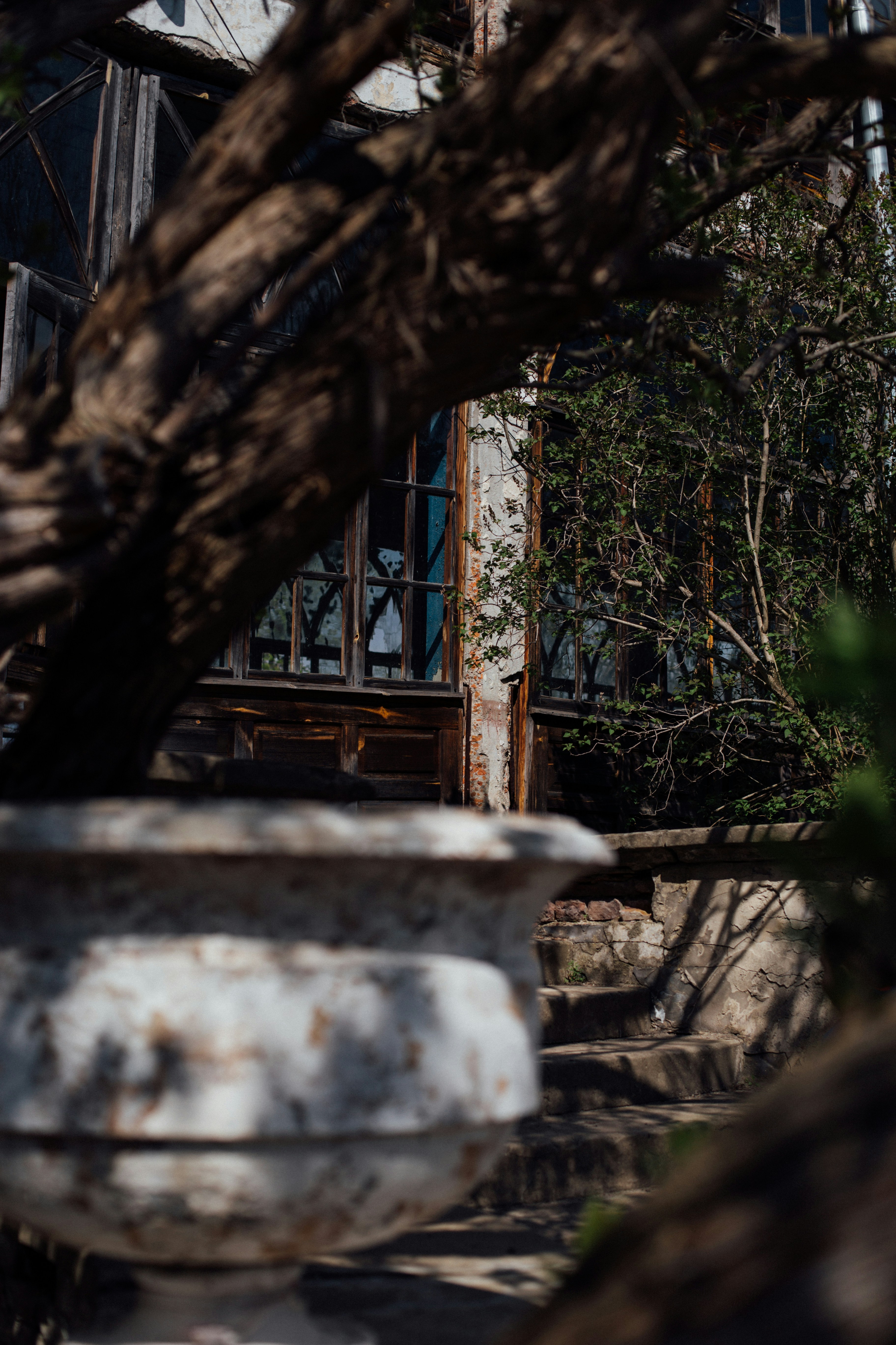 Photo by vladanisimov