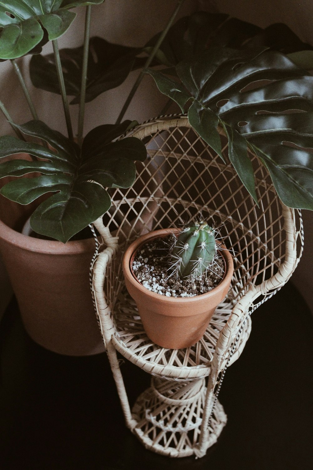 茶色の土鍋に緑の鉢植え