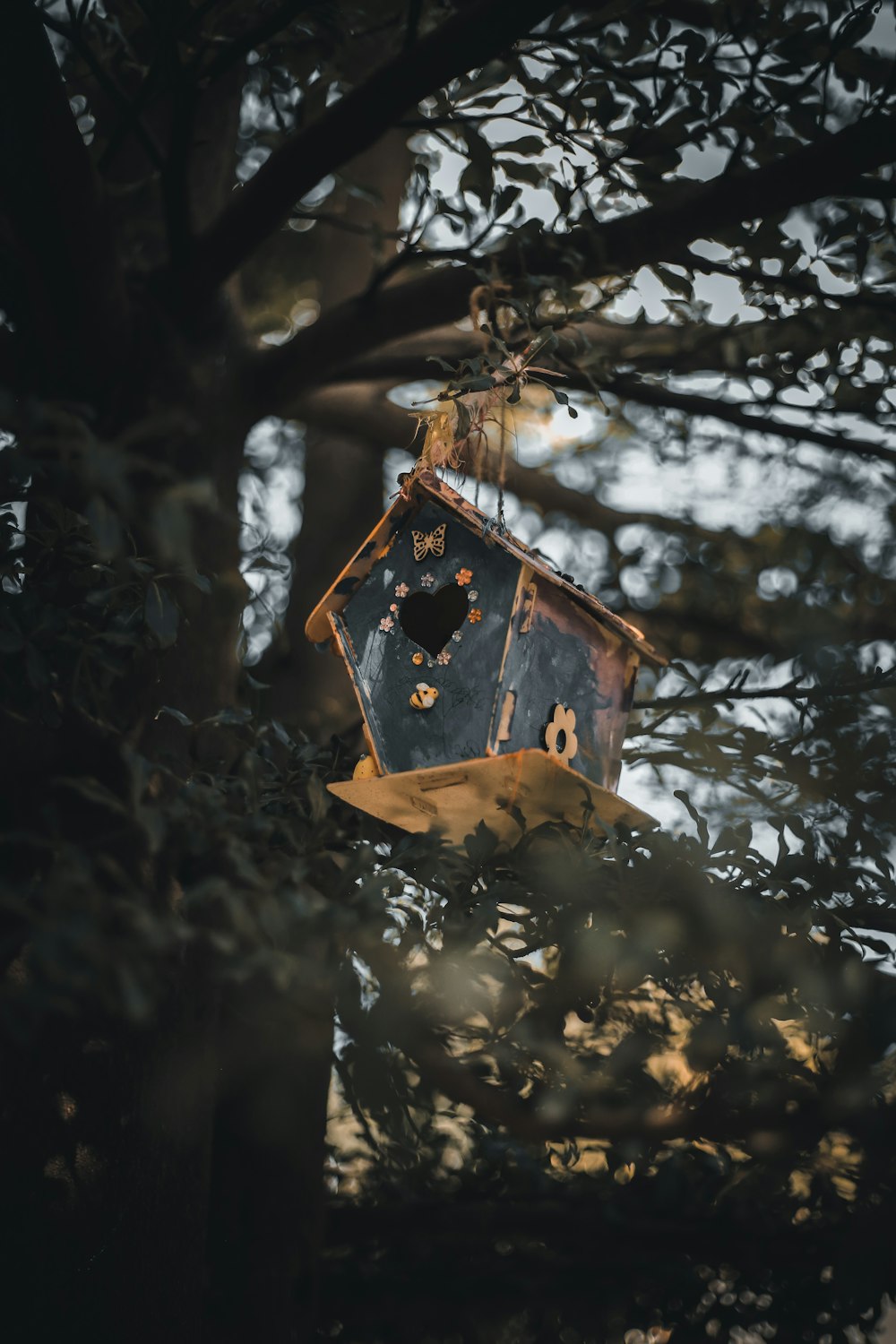 昼間の木の枝の上の茶色の木製の鳥の家