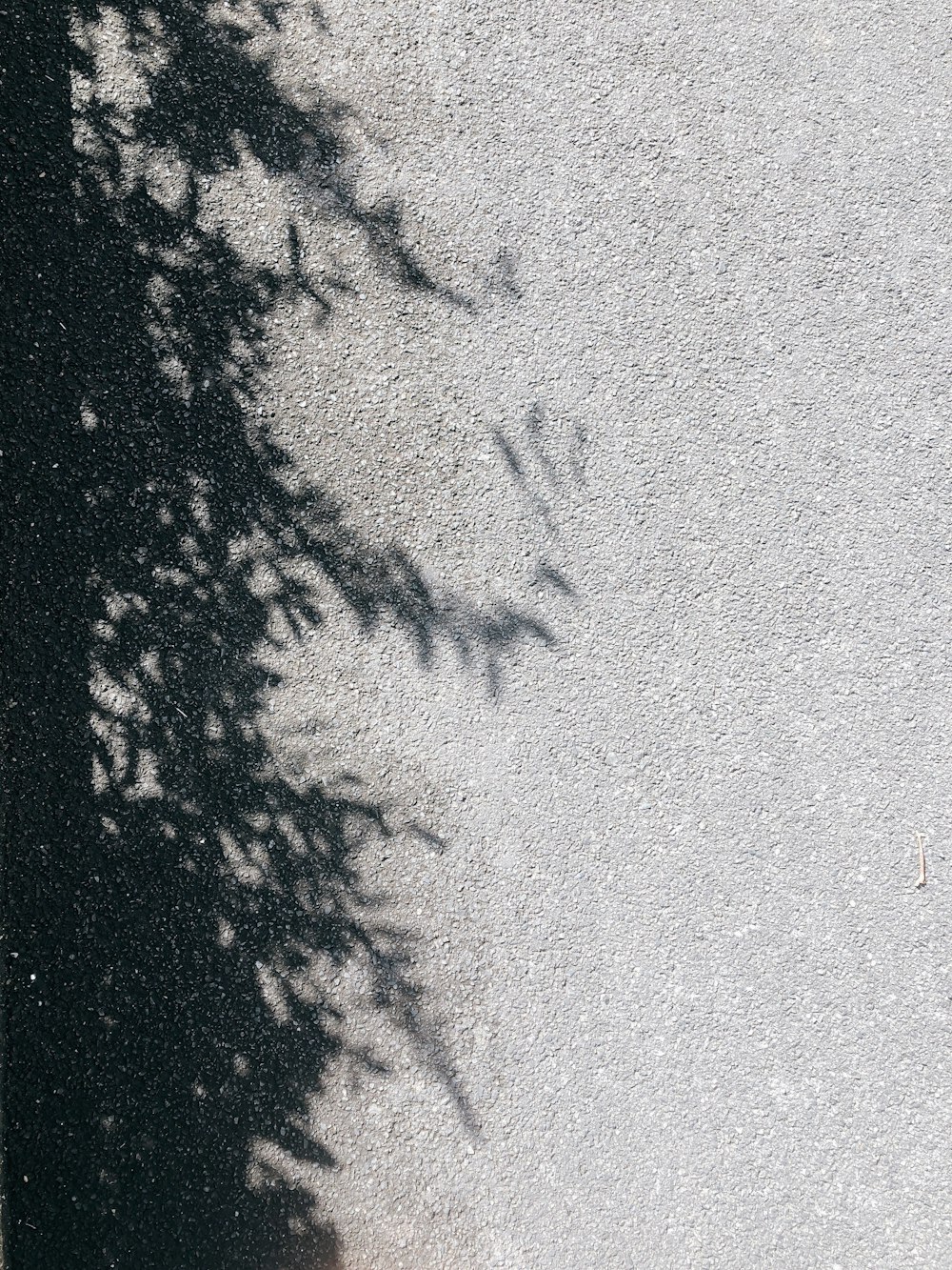 pintura abstrata em preto e branco