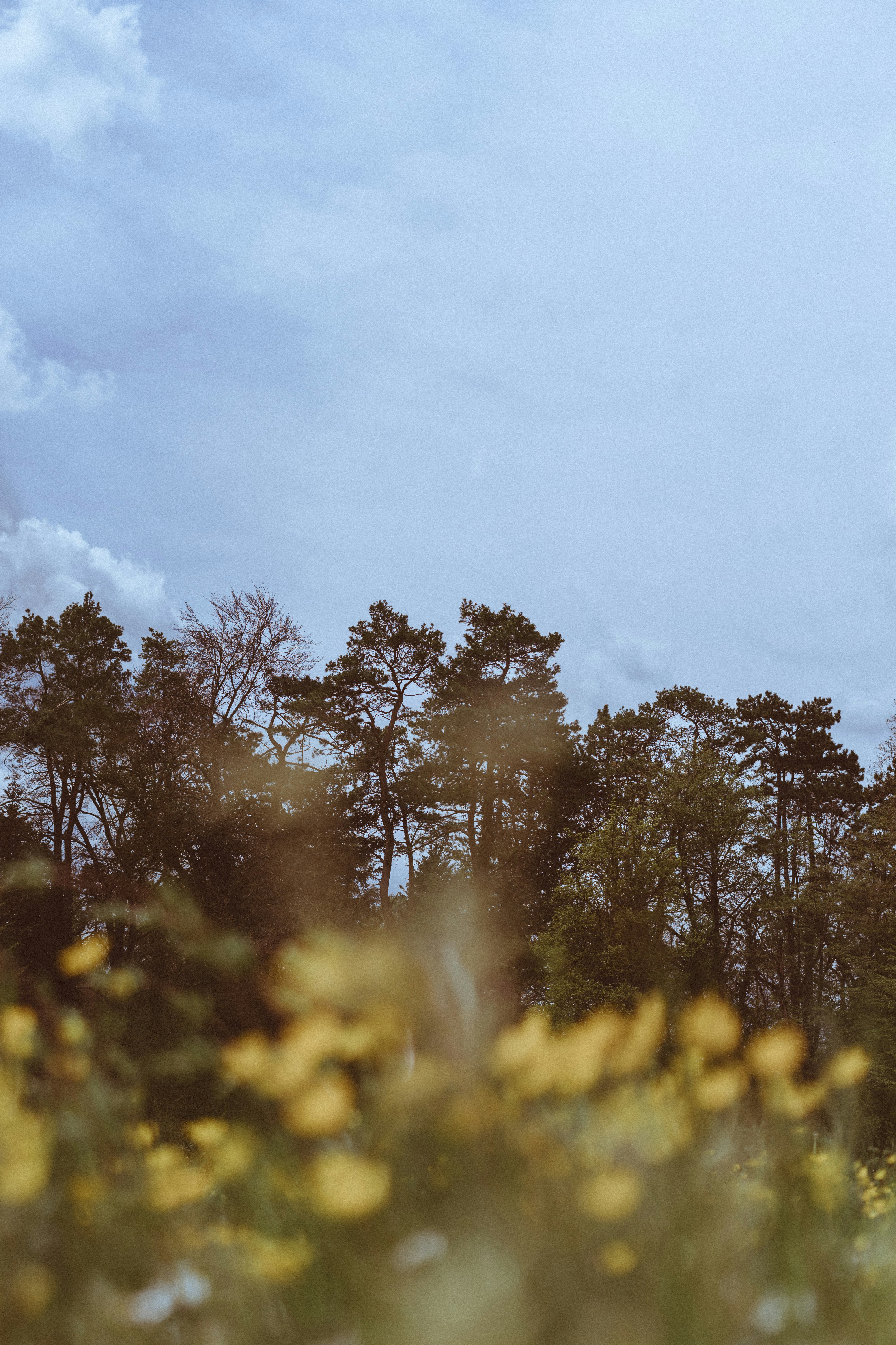 Photo by virussinside