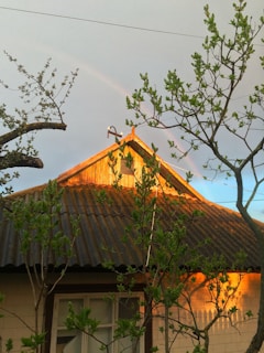 A rustic house with a newly renovated timber roof shining in the sunlight.
