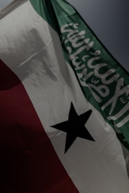 A flag is depicted with a horizontal tricolor design consisting of green, white, and red sections. The green section features Arabic script, while the white section contains a black five-pointed star in the center.
