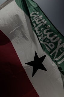 A flag is depicted with a horizontal tricolor design consisting of green, white, and red sections. The green section features Arabic script, while the white section contains a black five-pointed star in the center.