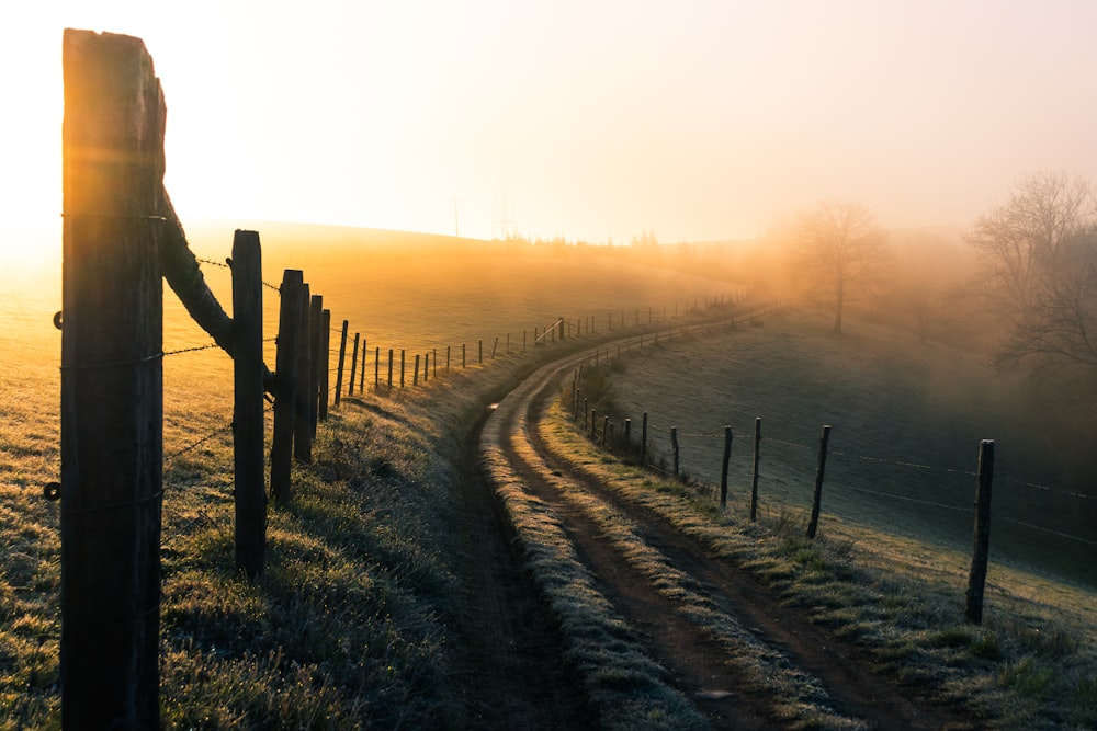 brown wooden fence on green grass field during sunset