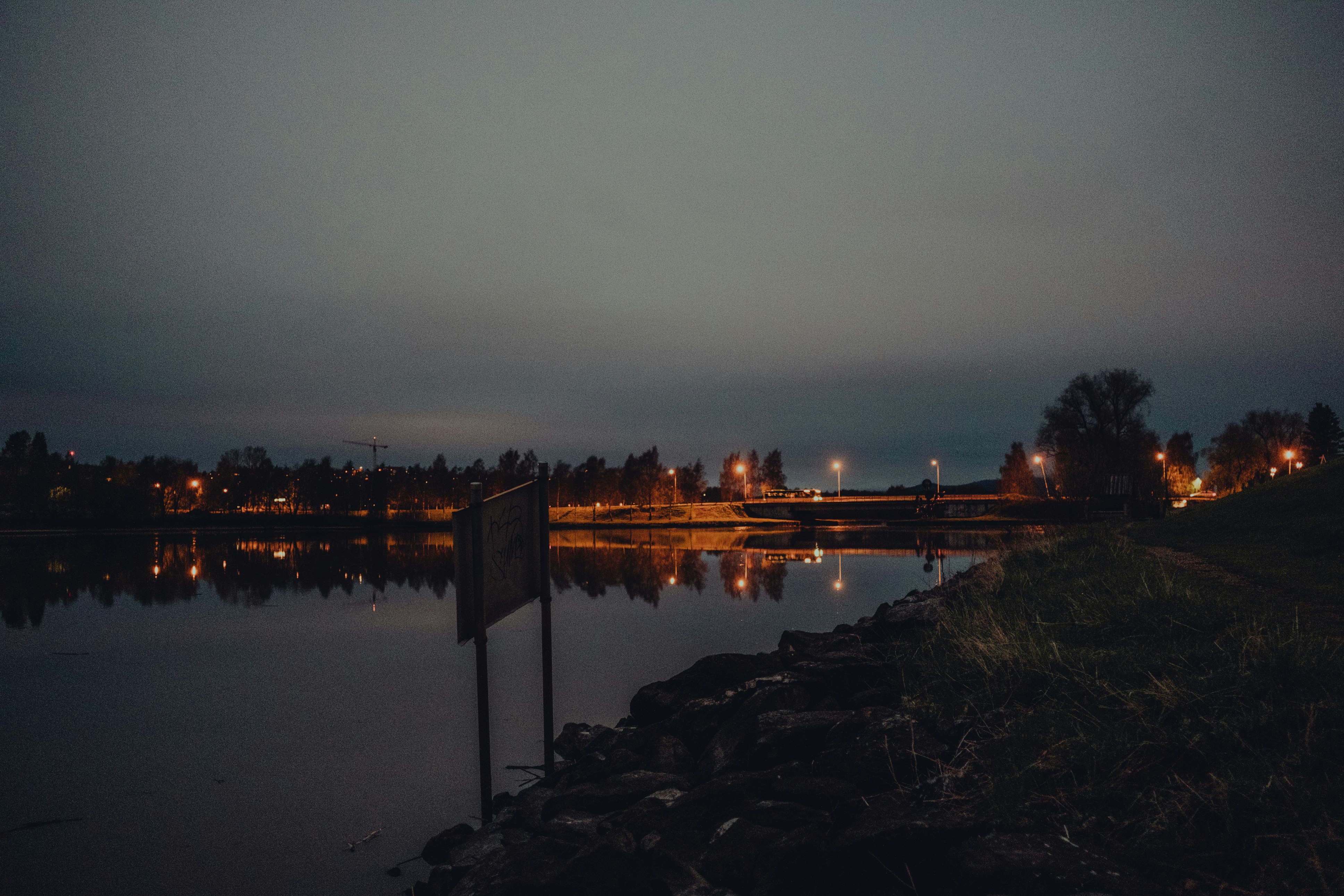 body of water near trees during night time