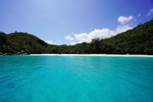 Turquoise Dream