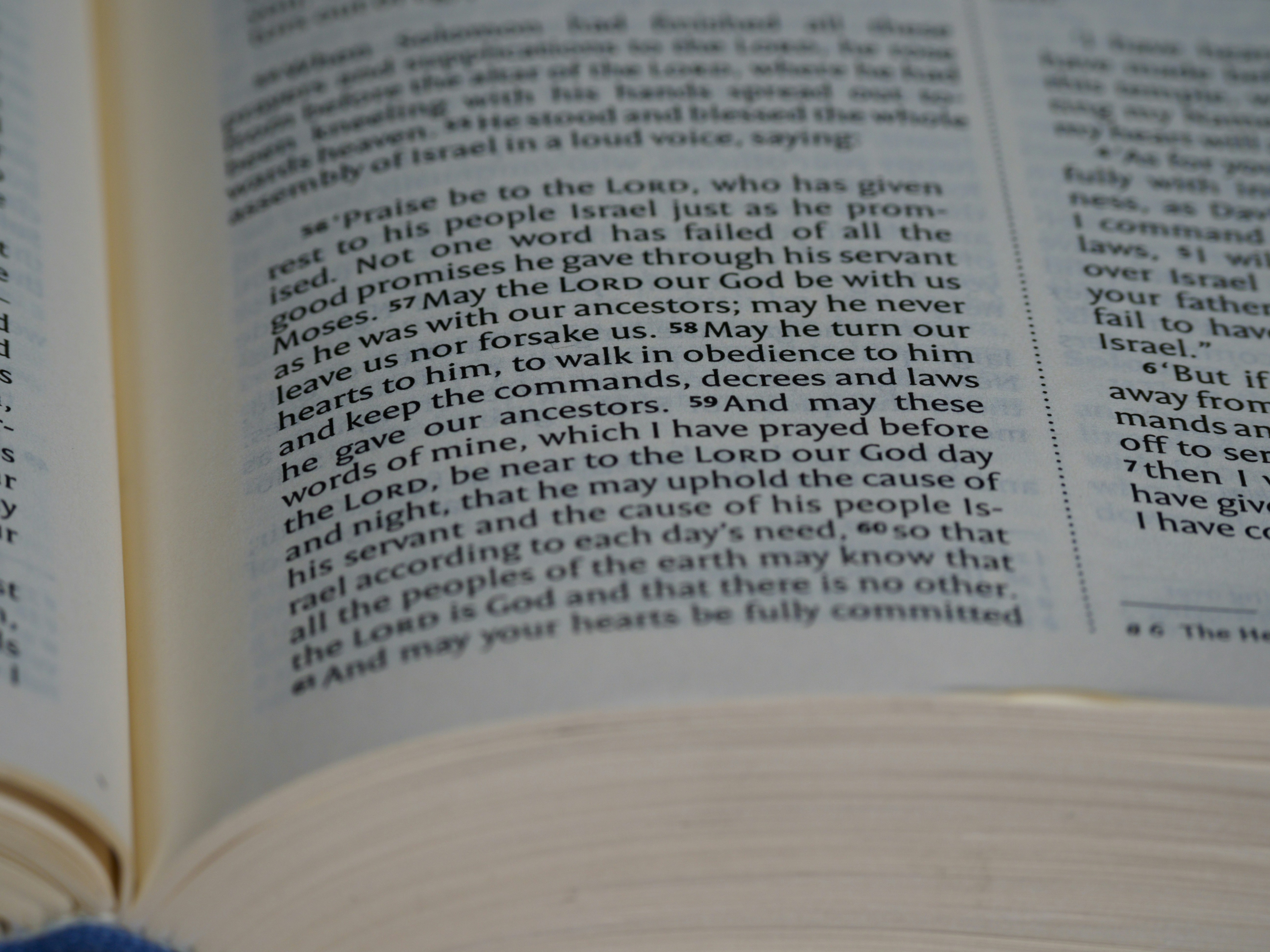 Photo by brett_jordan