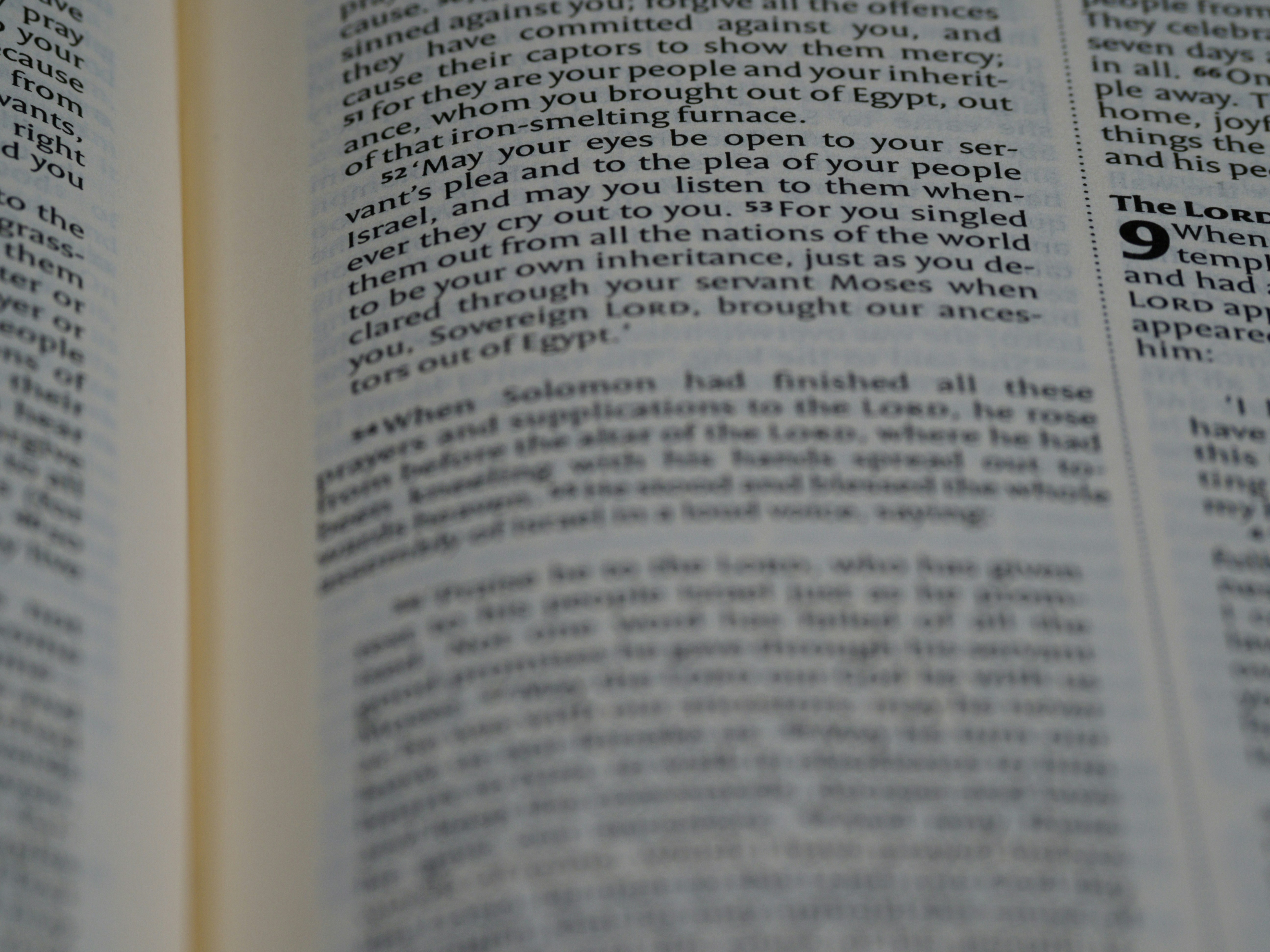 Photo by brett_jordan