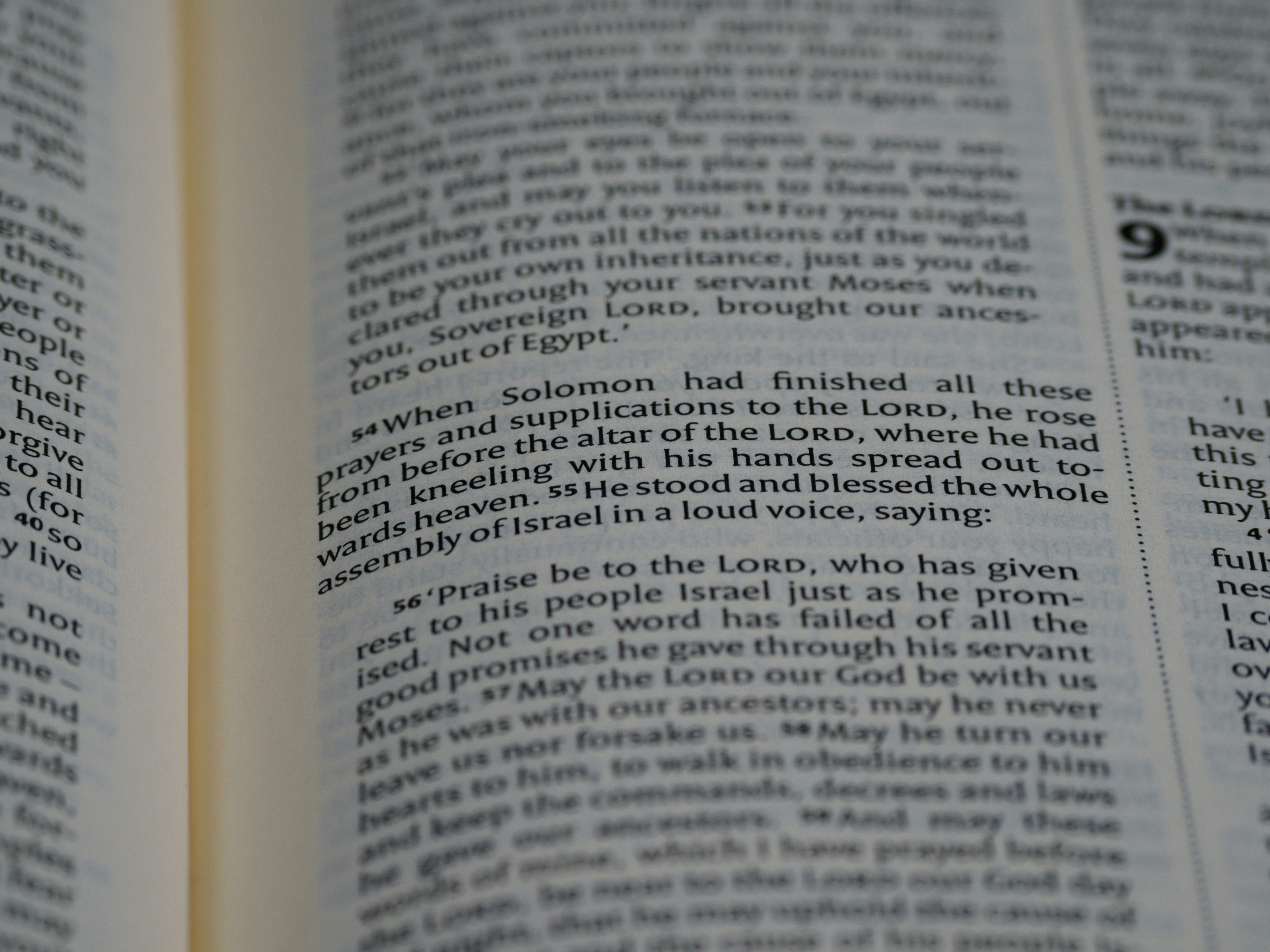 Photo by brett_jordan