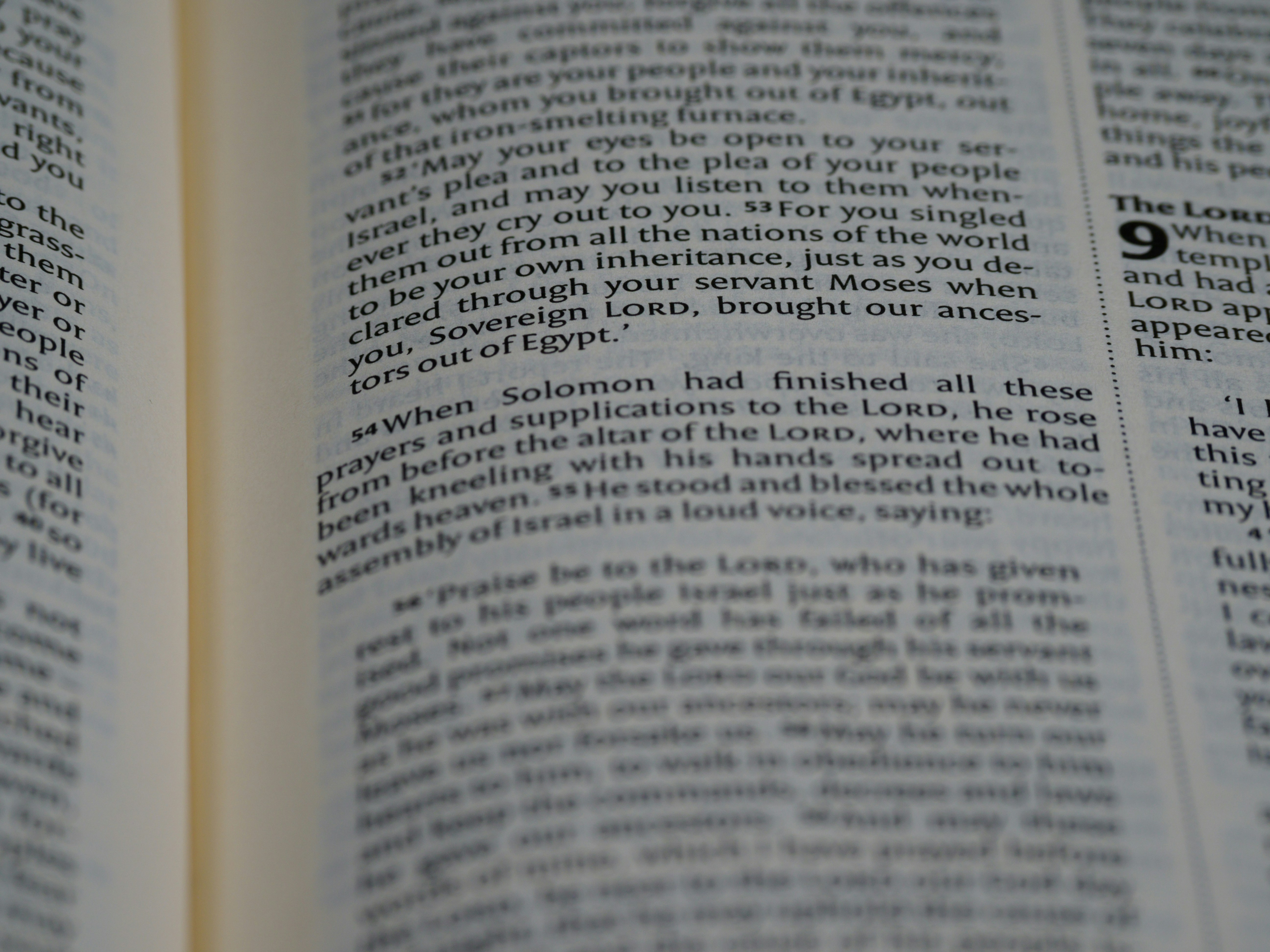 Photo by brett_jordan