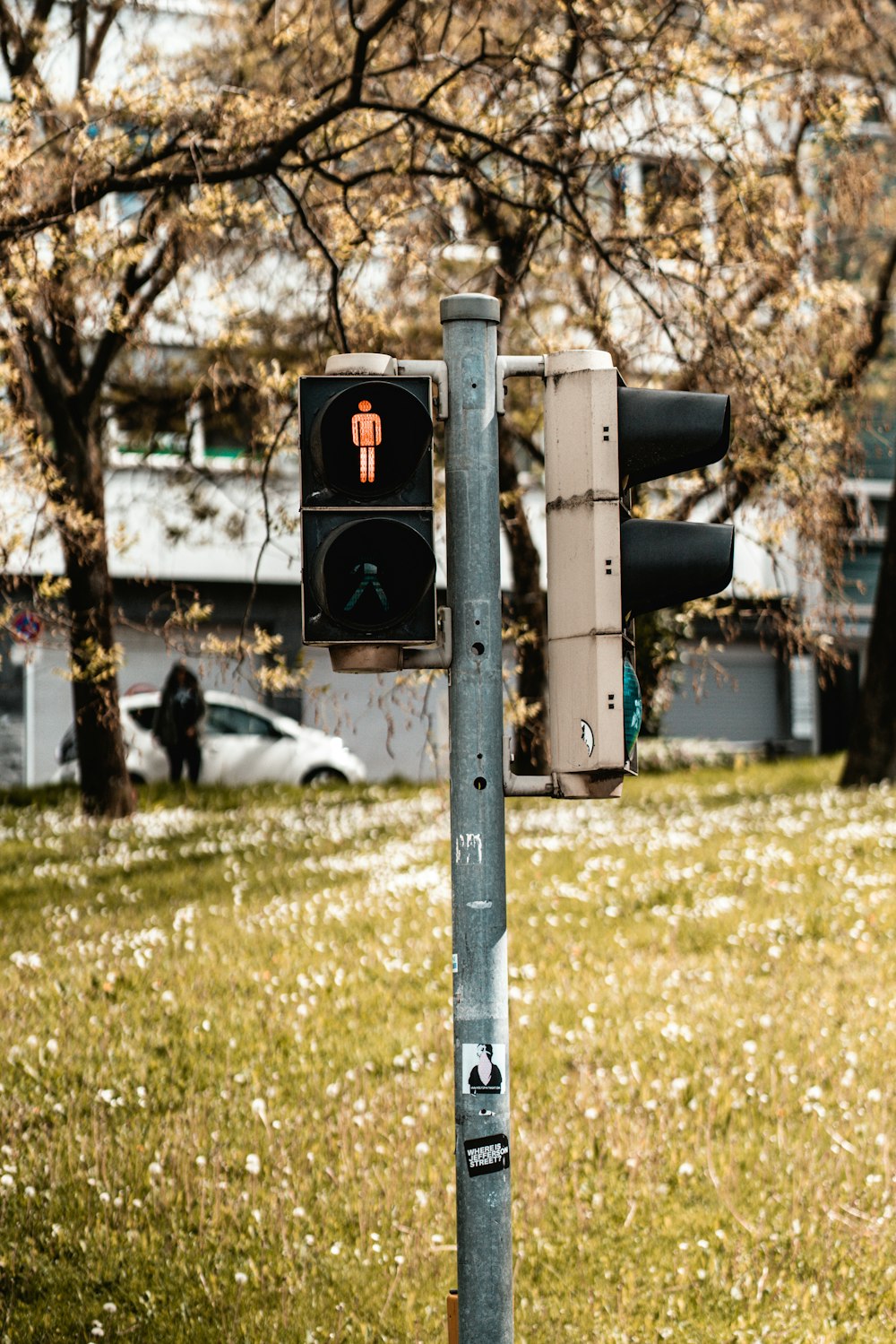 black traffic light on green grass field