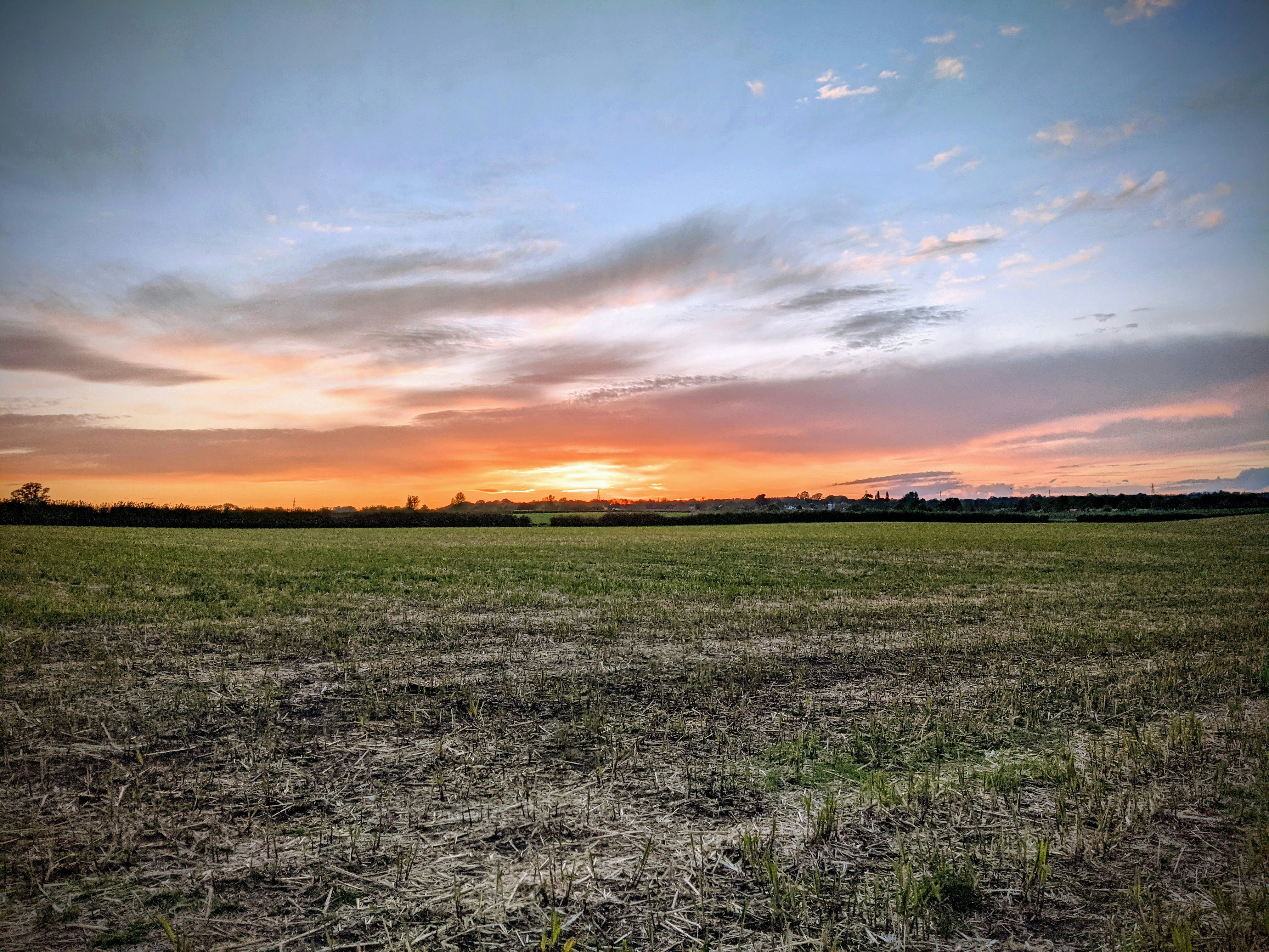 Rich warm autumn harvest field at dusk with deep crimson and copper tones, dim earthy shadows, low-key rustic atmosphere