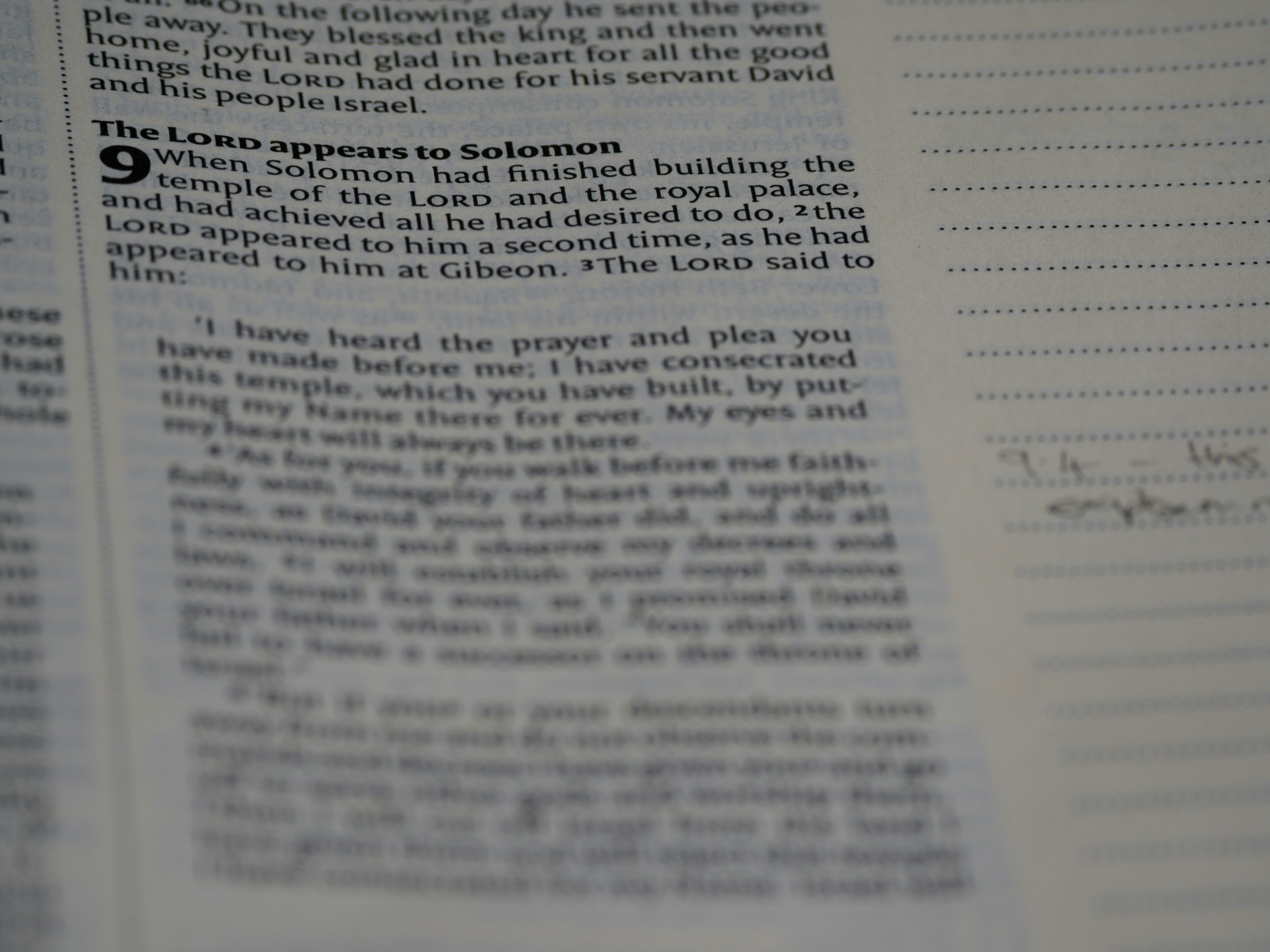 Photo by brett_jordan