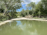 A serene nature clip featuring a flowing river surrounded by lush greenery.