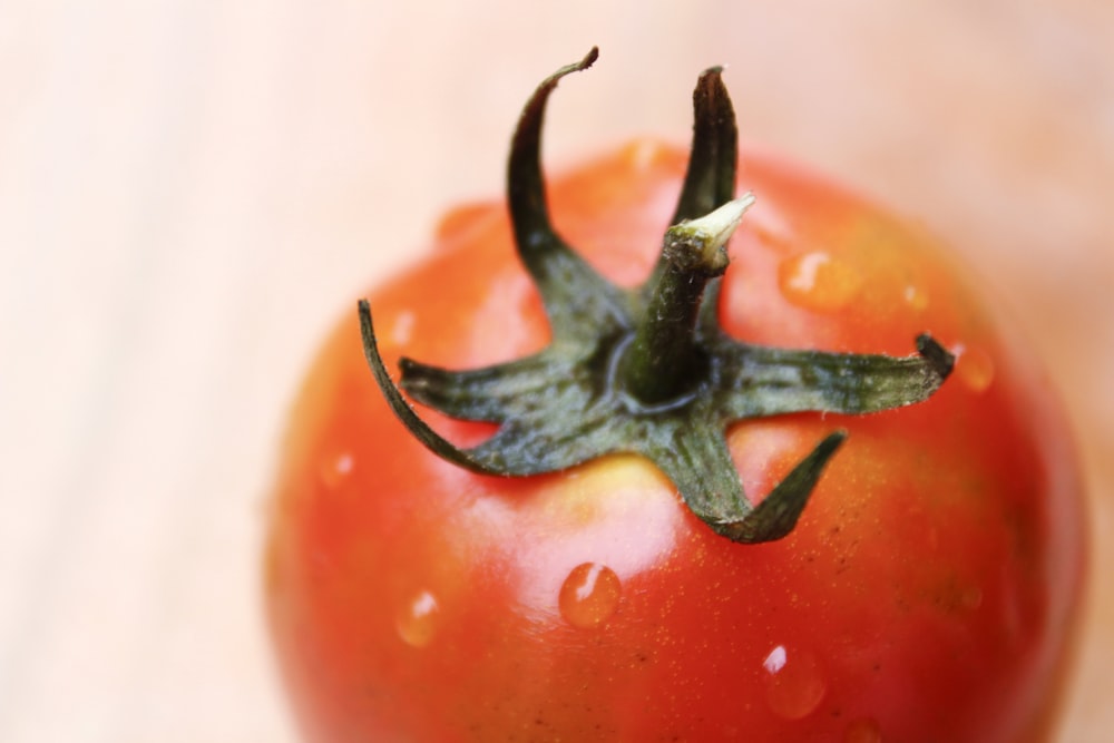 red tomato on white surface