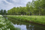 A peaceful river running alongside a green farm landscape with grazing animals.