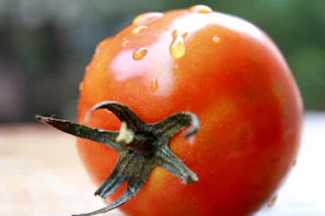 Close-up of a bioengineered tomato with enhanced nutrient markings under a lab light.