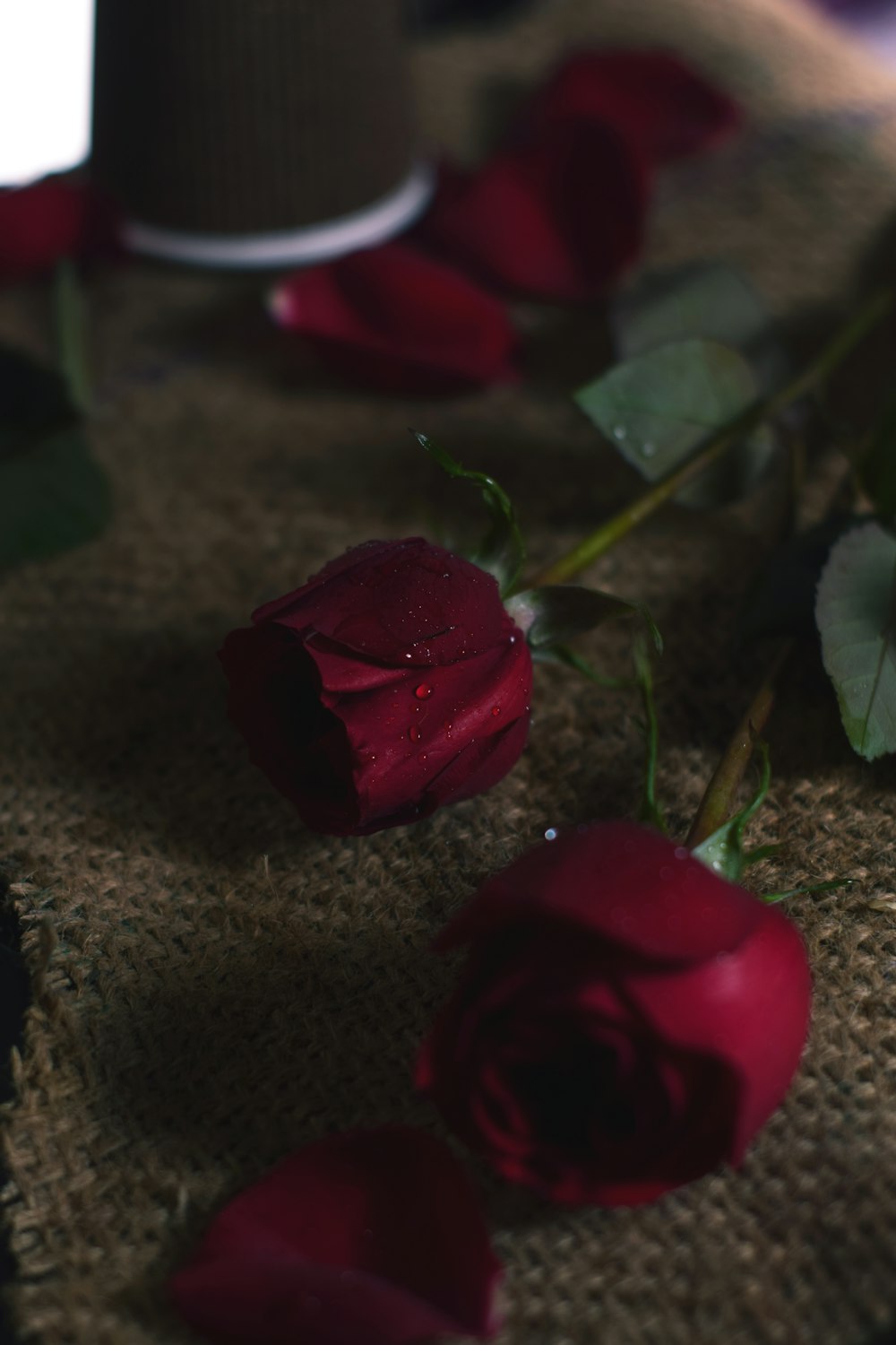 red rose on brown textile