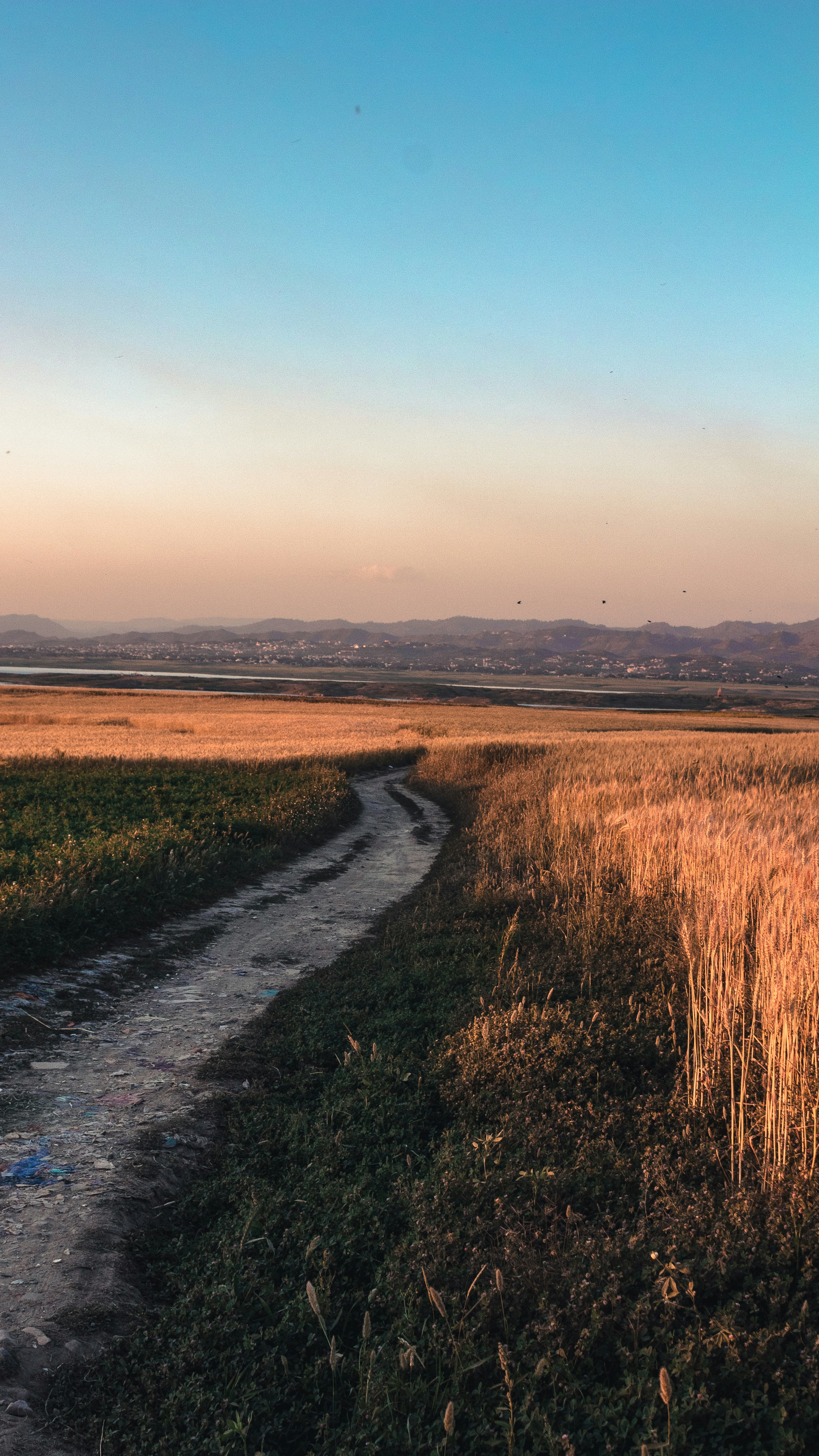 Photo by siyamensari