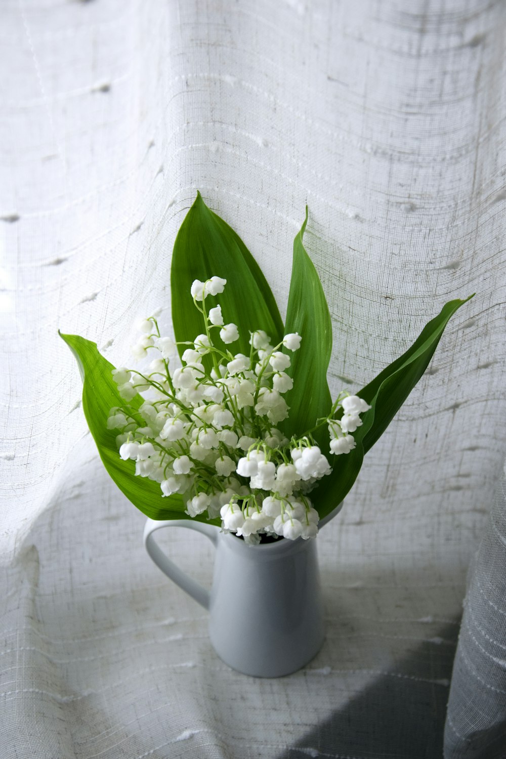white flowers in white ceramic vase