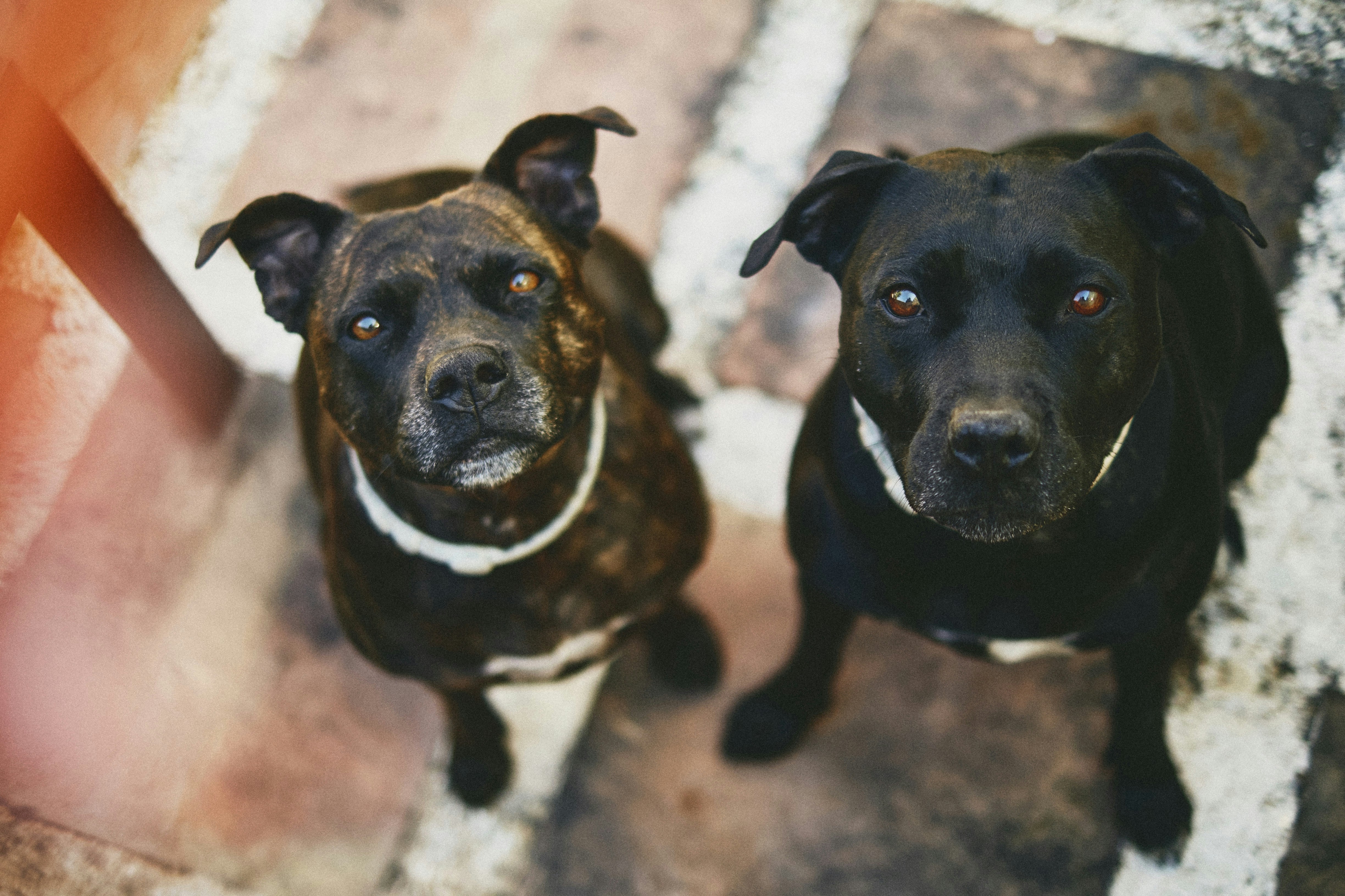 Photo by victor_vector