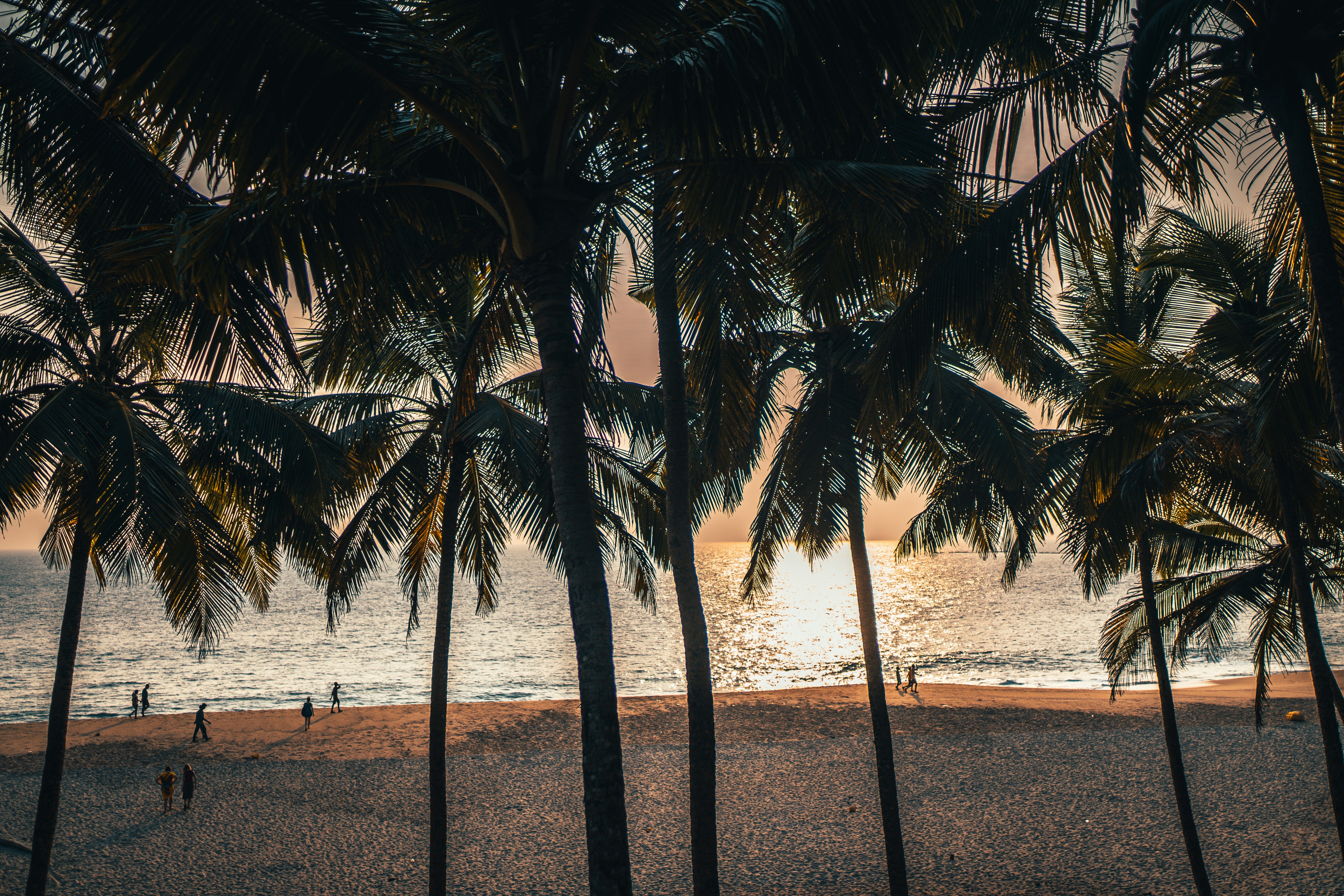 Photo by raimondklavins