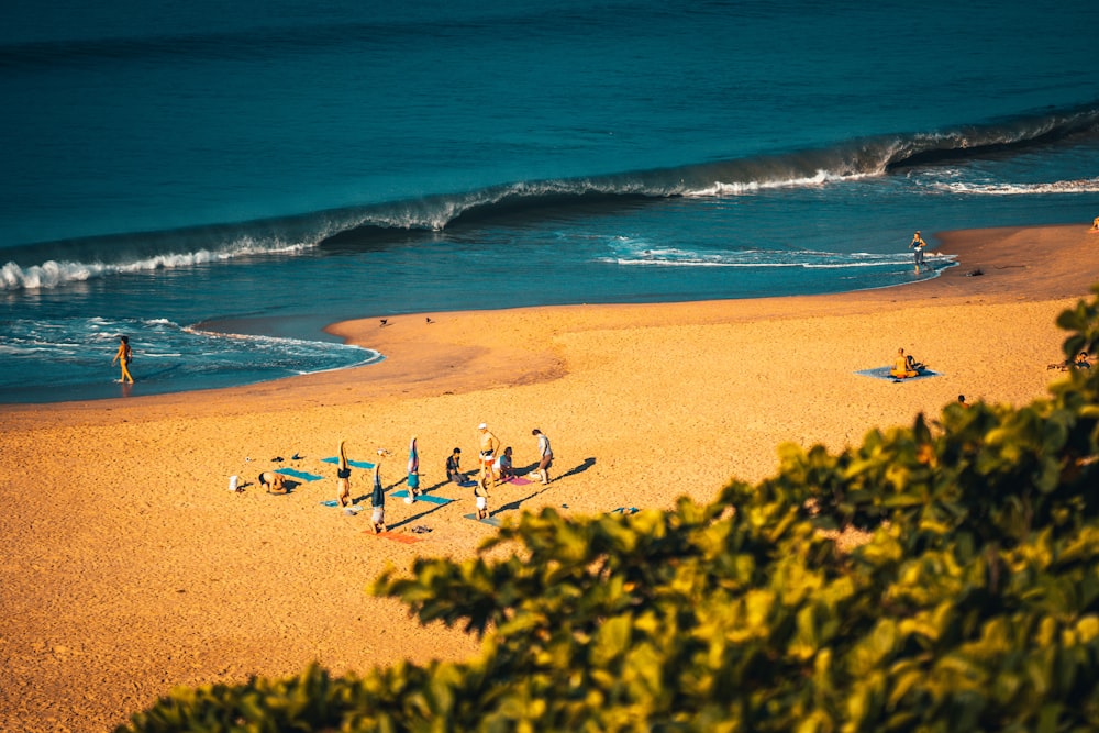 personnes sur la plage pendant la journée