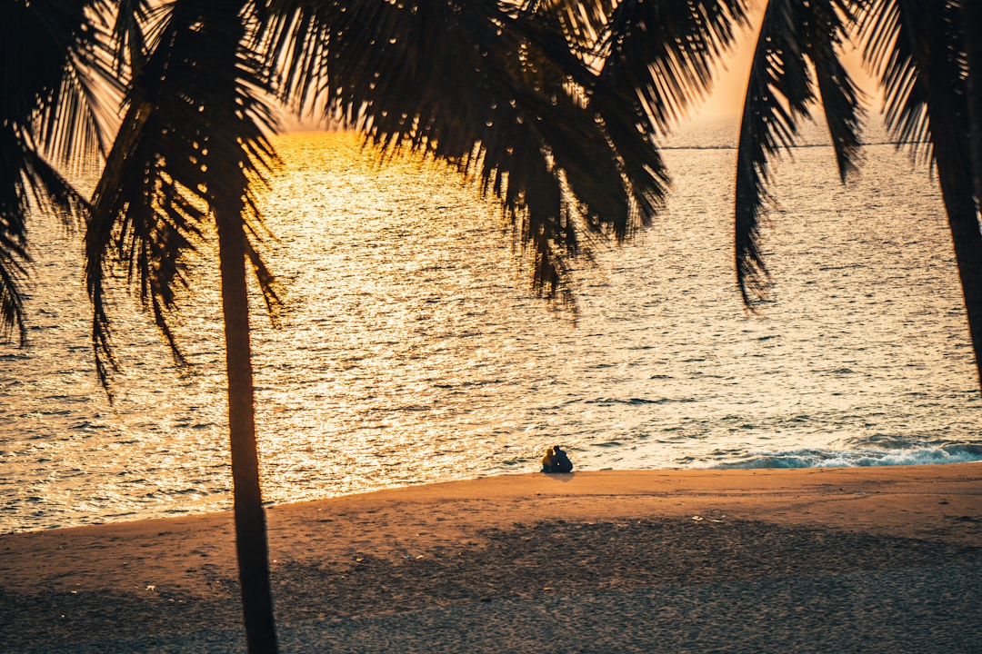 person sitting on beach shore during daytime