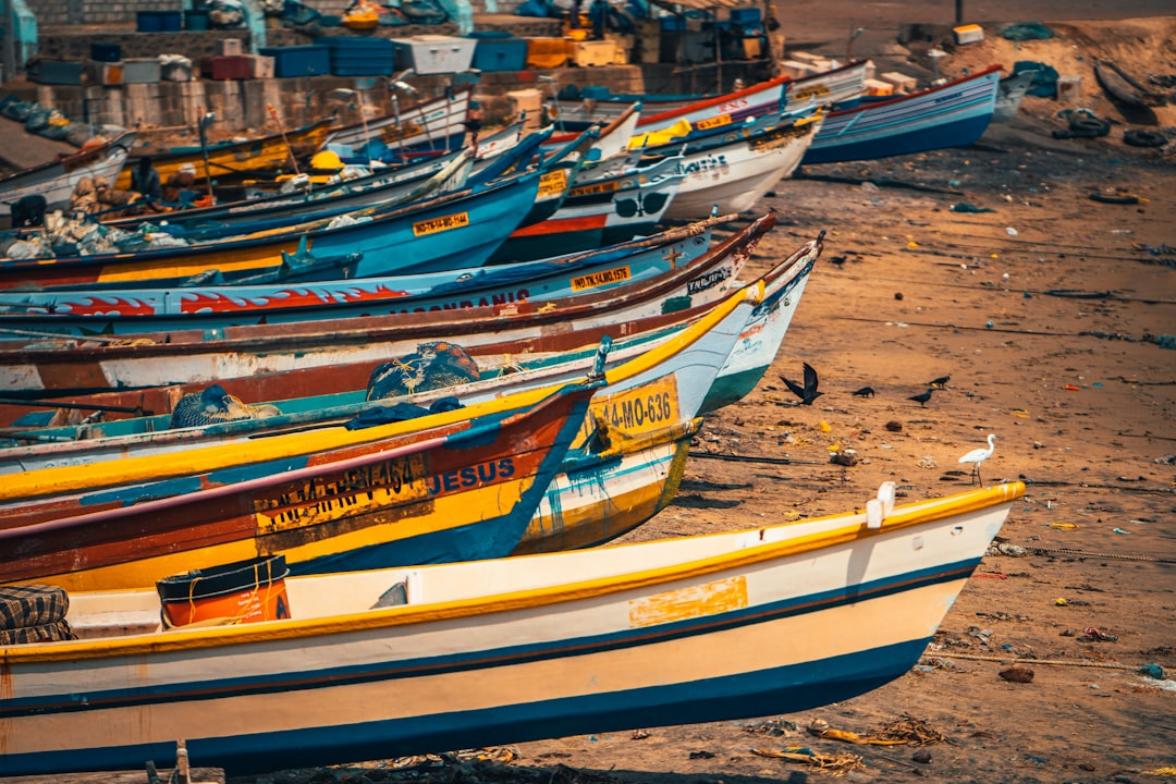 white and blue boat on beach during daytime