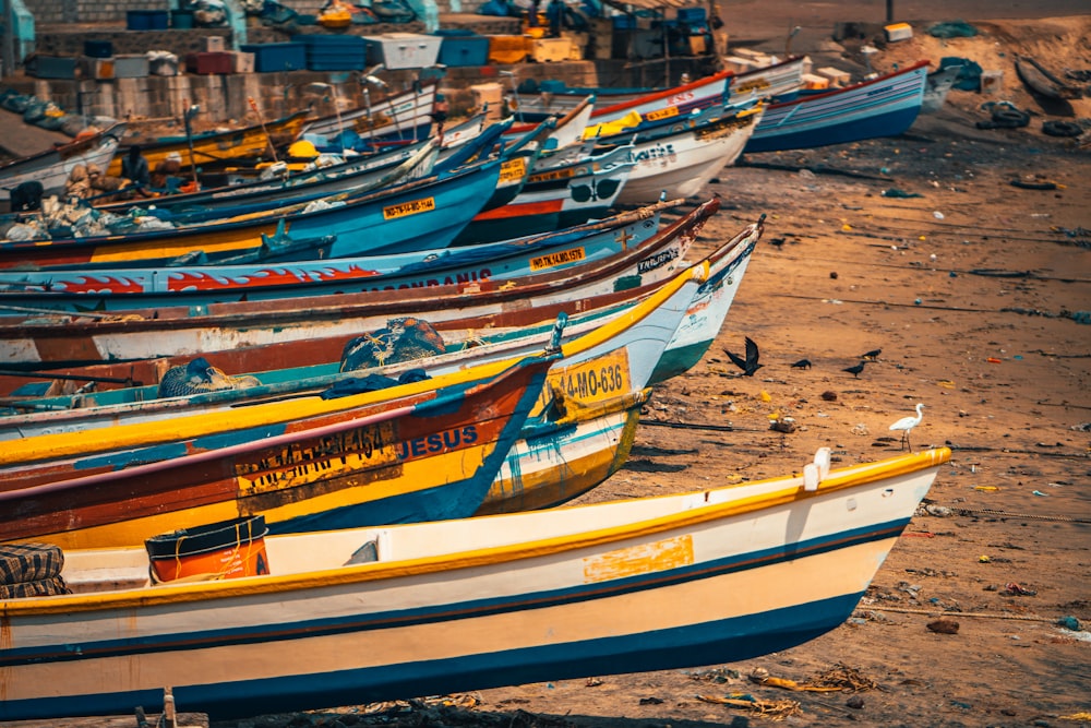 white and blue boat on beach during daytime