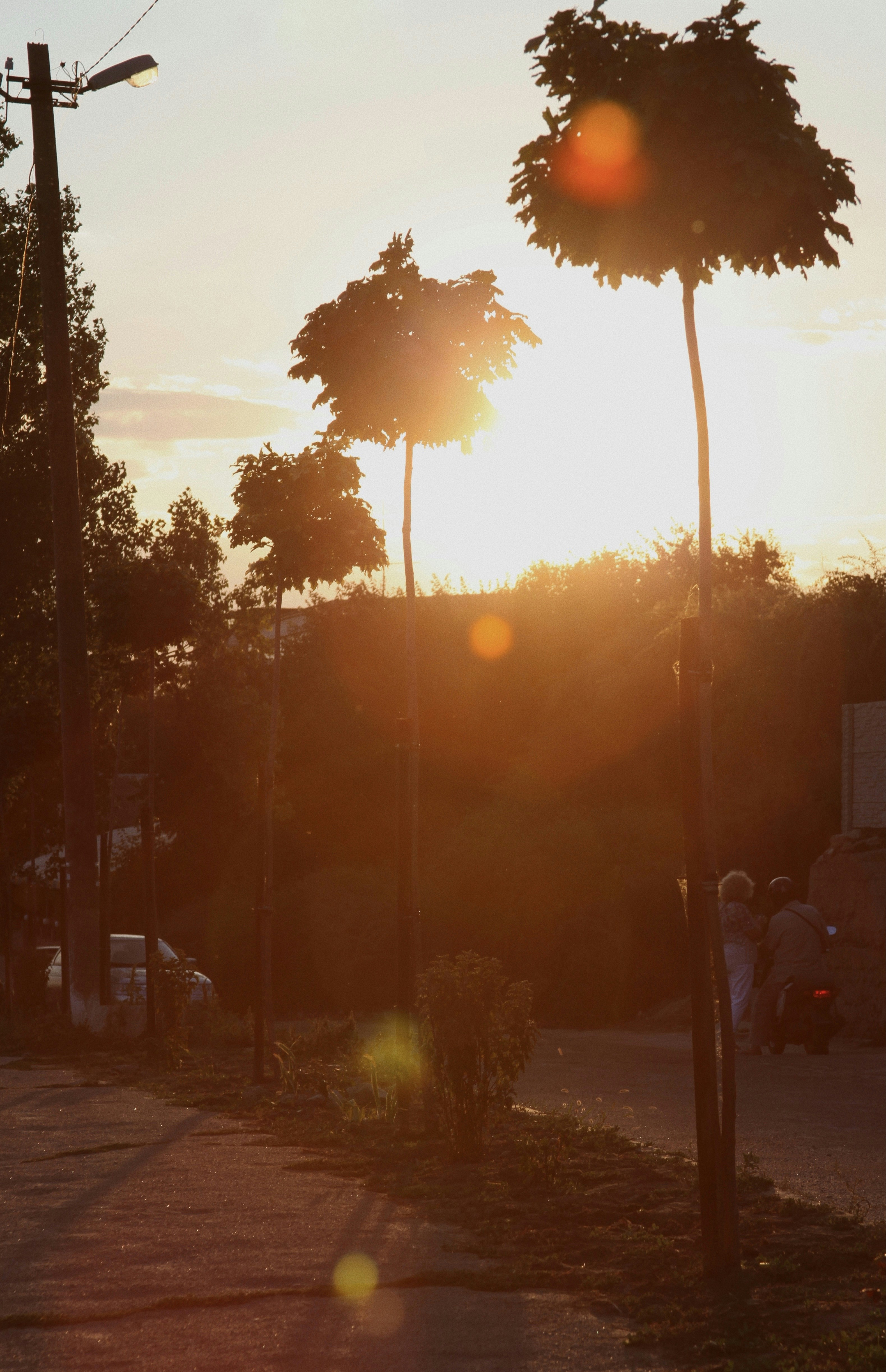 Photo by lerayastreba