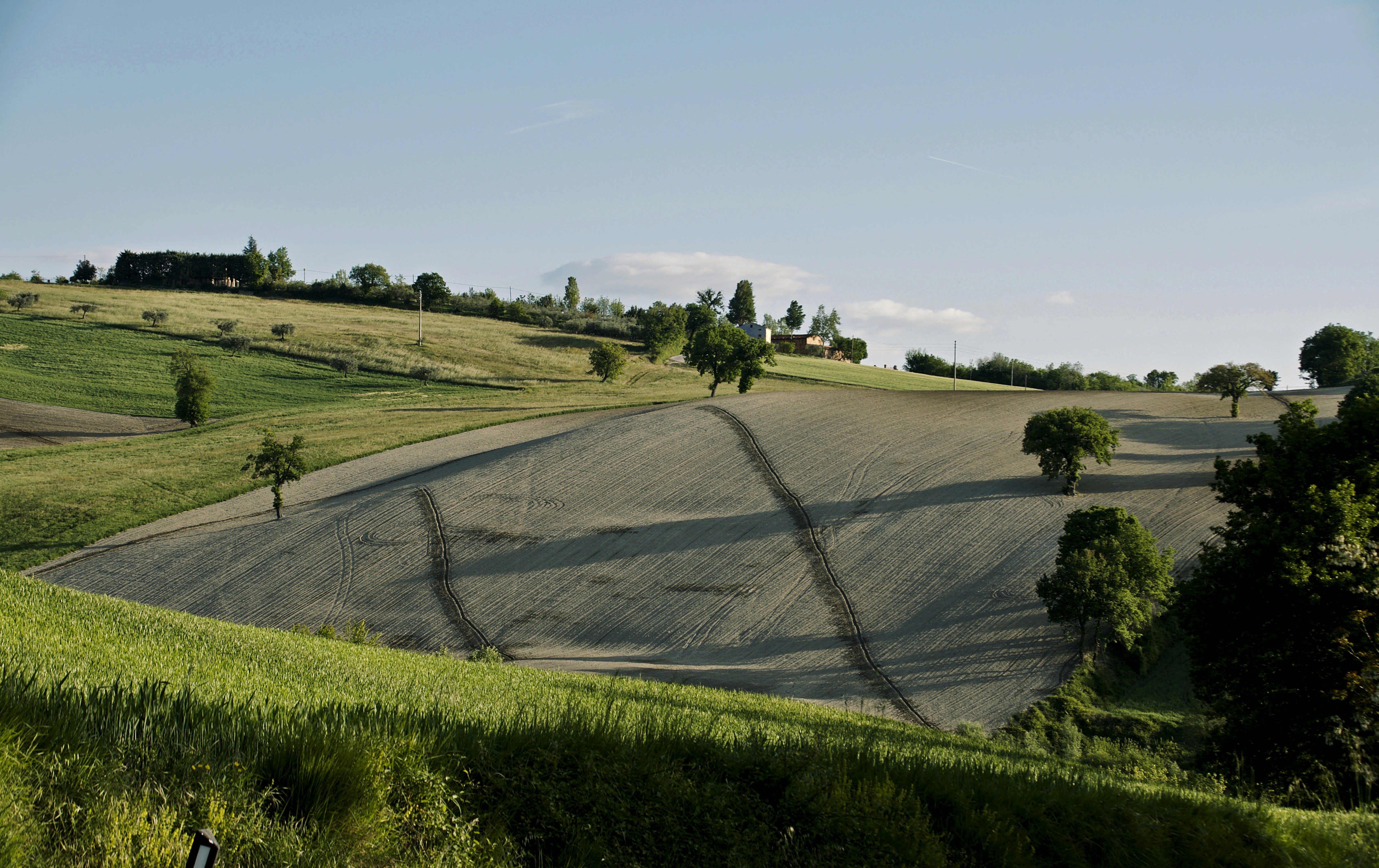 Photo by mariobeducci